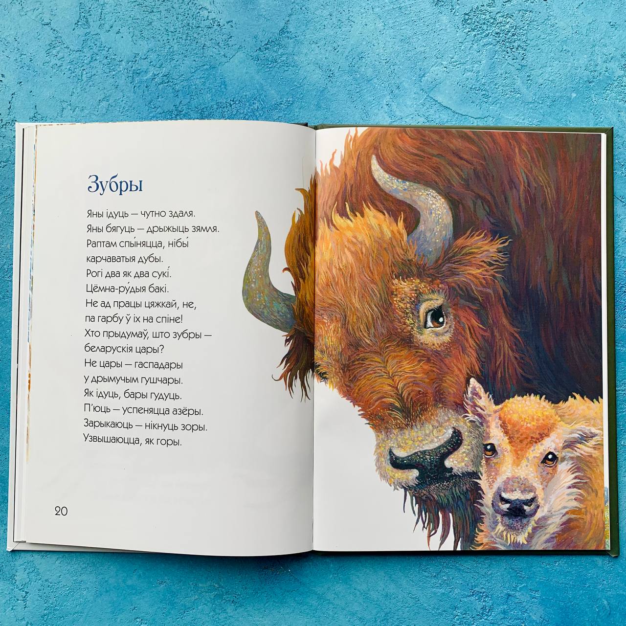 Кніга вершаў «Радзіма» Данута Бічэль